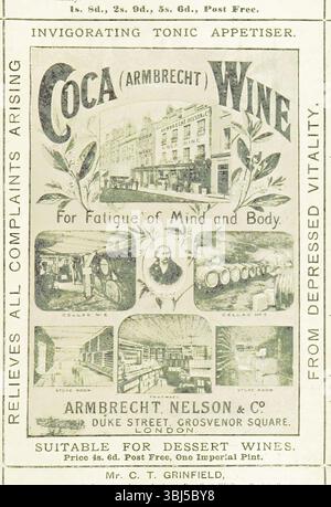 Coca (Armbrecht) Wine for Fatigue of Mind and Body, 1893. "L'antipasto tonico rinvigorente allevia tutte le lamentele derivanti dalla depressa vitalità. Adatto per vini da dessert. Pubblicità che mostra le cantine, i magazzini e la farmacia di Armbrecht, Nelson &amp; Co. Il vino di coca era una bevanda alcolica che combinava vino e cocaina. Pagina 193 di "The Crime of a Christmas Toy. A Detective story, etc." di Henry Herman. [Londra, Inghilterra, 1893] Foto Stock