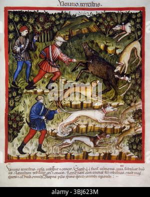 Caccia al cinghiale, XIV secolo. Da Tacuinum Sanitatis Folio 96r, un manuale medievale sulla salute. Foto Stock