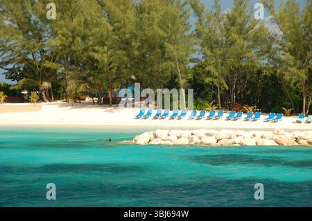 Una fila di sdraio blu vuote circonda una tranquilla spiaggia di sabbia bianca con acque turchesi e lussureggianti pini sullo sfondo delle Bahamas Foto Stock