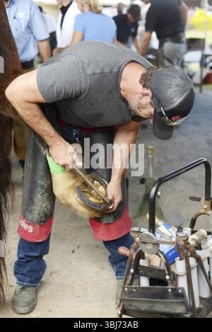 GATTON, AUSTRALIA, 2 MAGGIO 2025: I contadini non identificati inchiodano un nuovo ferro di cavallo sullo zoccolo di un cavallo pesante Foto Stock