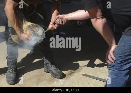 GATTON, AUSTRALIA, 2 MAGGIO 2025: I contadini non identificati testano un nuovo ferro di cavallo sullo zoccolo di un cavallo pesante Foto Stock