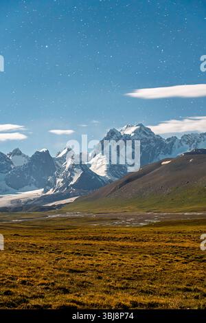 Uno scatto verticale di un cielo stellato notturno sopra un ampio paesaggio di montagna verde dorato con picchi innevati in lontananza Foto Stock