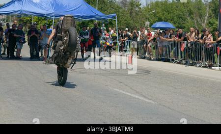 Un pilota acrobatico del team Extreme Attack esegue una gara posteriore su una motocicletta modificata durante il Moto Rock Fest 2025 vicino a Ruse, Bulgaria. Catturata da dietro, la moto è completamente verticale, mentre il pilota si bilancia su una ruota di fronte a una folla di tifo. Gli spettatori fiancheggiano le barricate, molti filmano lo spettacolo con i telefoni, mentre altri piloti e equipaggio si trovano sotto un baldacchino blu nell'area di partenza. I segni di slittamento degli pneumatici e un estintore indicano la natura adrenalinica del segmento acrobatico tenuto su una strada chiusa. Foto Stock