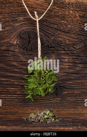 Erbe fresche di menta appese su fondo rustico in legno e menta secca. Erbe aromatiche culinarie Foto Stock