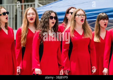 Little Poland Festival   New Britain, Connecticut, USA Foto Stock