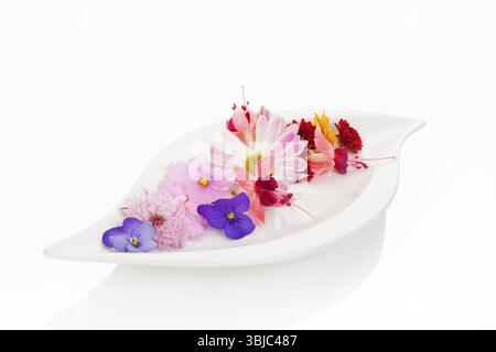 Deliziosa insalata composta da un mix di fiori commestibili su piatto bianco su sfondo bianco. Insalata culinaria fresca dall'alto Foto Stock