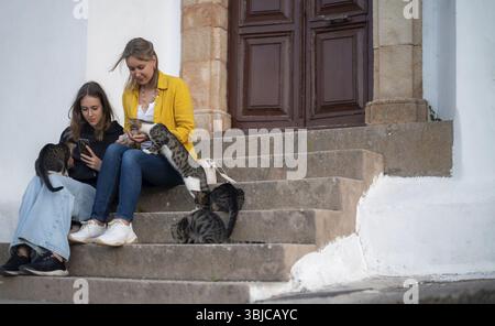 Due ragazze danno da mangiare ai gatti per strada Foto Stock