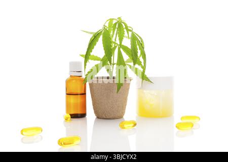 Cosmetici di canapa. Idratante, crema, shampoo, olio e giovane pianta di cannabis in vaso isolato su fondo bianco. cosmet ecologico naturale sano Foto Stock