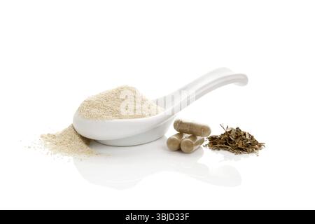 Gotu kola. Capsula di erbe e Pennywort asiatico verde. Polvere di gotu kola, foglie secche e polvere isolata su sfondo bianco. Integratore nutrizionale, na Foto Stock