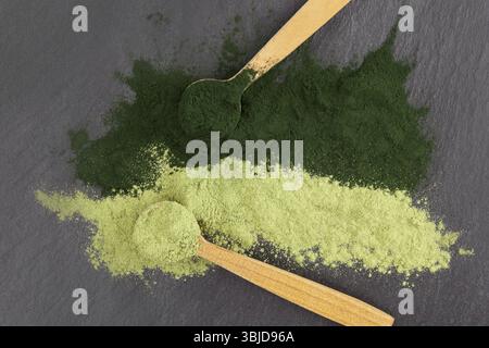 Clorella e orzo, erba verde sano super polvere in cucchiai di legno da sopra la superficie nera Foto Stock