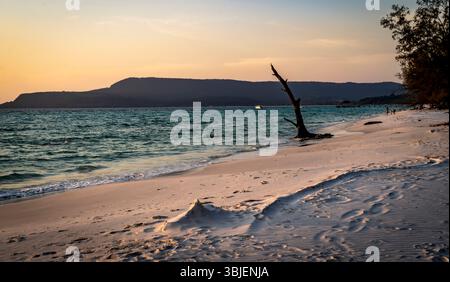 Una tranquilla spiaggia al tramonto, caratterizzata da dolci onde che si infrangono sulla riva, un albero solitario sulla sabbia e colline lontane sotto un cielo caldo. Foto Stock