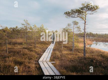 Uomo che cammina sul lungomare attraverso la palude di Kemeri nel parco nazionale di Kemeri, Lettonia Foto Stock