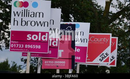 Una fila di insegne immobiliari mette in evidenza le proprietà in affitto, in vendita e vendute negli appartamenti nel centro di Peterborough. Foto Stock