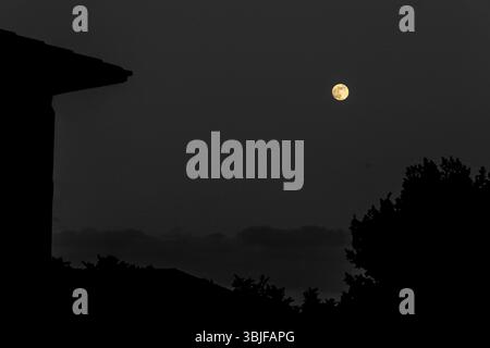 Luna piena luminosa nel cielo scuro sopra tetti sagomati e alberi Foto Stock