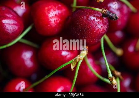 Primo piano full frame di ciliegie rosse mature Foto Stock