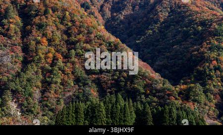 Un luminoso baldacchino multicolore nelle montagne giapponesi durante l'autunno, che mostra un gradiente naturale di fogliame tra creste, pendii e valli ombreggiate Foto Stock
