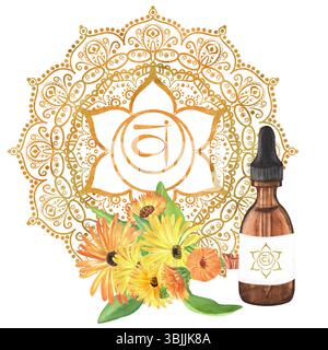 Fiala di vetro di acquerello con olio essenziale e bouquet di calendula con fiori gialli e arancioni e foglie verdi. Chakra Svadhistha sacrale di colore arancio dorato Foto Stock