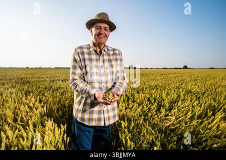 L'agricoltore anziano si trova nel suo campo di grano coltivato. Sta tenendo il raccolto tra le mani. Foto Stock