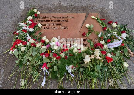 Im Berliner Regierungsviertel ist am Montag 16.06.2025 ein temporaerer Gedenkort fuer die Opfer der deutschen Besatzung Polens im Zweiten Weltkrieg eingeweiht worden. DAS aus einem 30 Tonnen schweren Findling und einem Wildapfelbaum foto bestehende Gedenkzeichen gegenueber der Reichstagswiese befindet sich auf dem Gelaende der ehemaligen Kroll-Oper, in der Adolf Hitler am 1. Settembre 1939 den Ueberfall Deutschlands auf Polen verkuendet hatte. Gewidmet ist das Denkmal in deutscher, polnischer und englischer Sprache den polnischen Opfern des Nationalsozialismus und den Opfern der deutschen Gewa Foto Stock