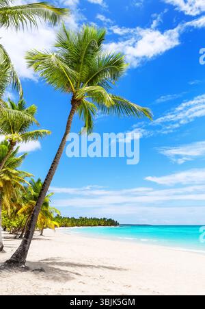 Spiaggia di sabbia bianca con palme da cocco e acque turchesi della costa caraibica sull'isola di Saona nella Repubblica Dominicana. Spiaggia per le vacanze estive Foto Stock