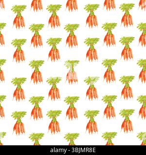 Carote. Carote arancioni fresche con motivo ad acquerello senza cuciture su sfondo bianco. Illustrazione botanica del cibo disegnato a mano. Disegnato a mano per cucina textil Foto Stock