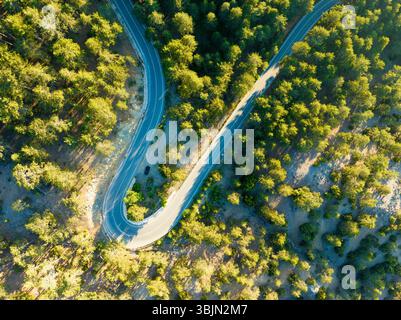 Una vista aerea generica delle curve tortuose delle strade di montagna attraverso una tranquilla foresta nebbiosa con alberi sempreverdi nelle montagne di Troodos, Repubblica di Cipro Foto Stock