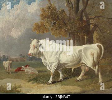 Aringa i, John Frederick; A White Bull, Fulbourn, Cambridgeshire; National Trust, Anglesey Abbey; http://www.artuk.org/artworks/a-white-bull-fulbourn-cambridgeshire-169903 Foto Stock