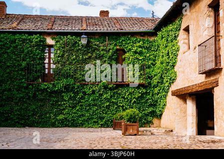 L'edera copre la facciata di una casa nel villaggio medievale di Pedraza, Segovia, Castilla y León, Spagna, Europa Foto Stock
