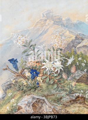 "Enzian und Edelweiss" di Anna Stainer-Knittel (prima del 1915) è un acquerello che raffigura i vibranti fiori alpini, la genziana e la stella alpina. Il dipinto, firmato dall'artista, cattura i delicati dettagli e la bellezza naturale di queste iconiche piante di montagna. Il lavoro è una rappresentazione dell'abilità di Stainer-Knittel nell'illustrazione botanica. Foto Stock