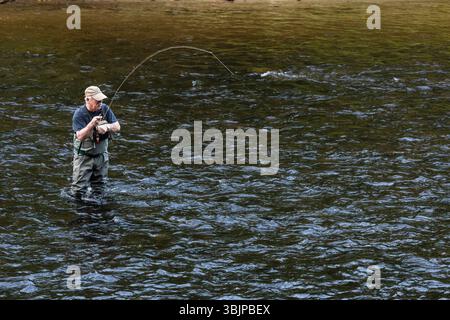 La pesca con la mosca Farmington fiume   Barkhamsted, Connecticut, Stati Uniti d'America Foto Stock