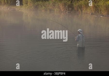 La pesca con la mosca Farmington fiume   Barkhamsted, Connecticut, Stati Uniti d'America Foto Stock