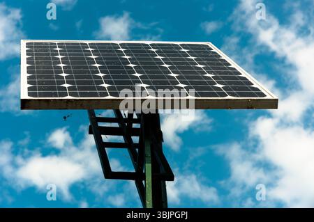 Pannelli solari che guardano verso il cielo Foto Stock