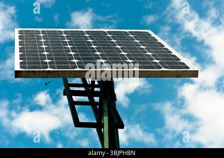 Pannelli solari che guardano verso il cielo Foto Stock