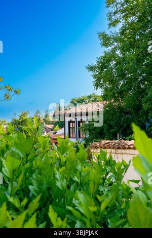 Una splendida casa sbircia da dietro un vivace verde fogliame, adagiato su un cielo azzurro. Foto Stock