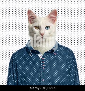 Divertente gatto bianco con eterocromia che indossa una camicia blu punteggiata su sfondo bianco punteggiato, con un aspetto serio Foto Stock
