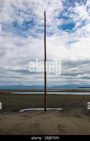 Palo di legno sulla spiaggia di Rathtrevor a Parksville, British Columbia, Canada Foto Stock