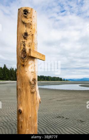 Palo di legno sulla spiaggia di Rathtrevor a Parksville, British Columbia, Canada Foto Stock