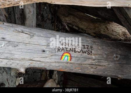 Normalizza Rainbow dipinti su un tronco a Rathtrevor Beach a Parksville, British Columbia, Canada Foto Stock