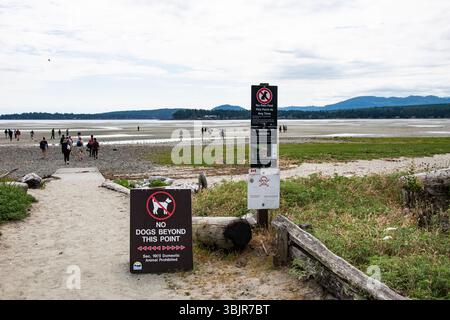 Nessun cane oltre questo punto è segnalato sul sentiero per Rathtrevor Beach a Parksville, British Columbia, Canada Foto Stock