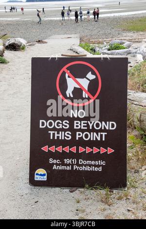 Nessun cane oltre questo punto è segnalato sul sentiero per Rathtrevor Beach a Parksville, British Columbia, Canada Foto Stock