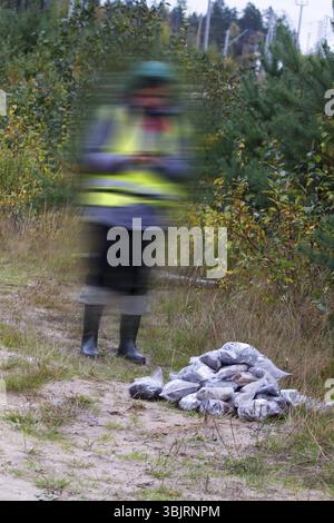 Scienze del suolo (edaologia), prelievo di campioni di suolo sul campo. I pacchetti contengono campioni di terreno sabbioso proveniente dalle foreste settentrionali. In background è possibile vedere gir Foto Stock