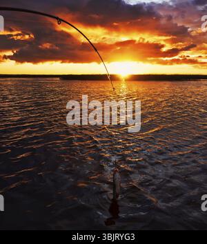 Pesca al tramonto. Cattura del pesce predatore sulla filatura. Colori del tramonto sulla superficie dell'acqua, sentiero soleggiato dal sole basso. Nerfling catturato su un filatore Foto Stock
