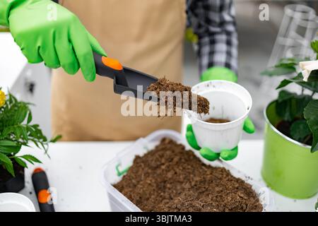 Giardiniere che piantano in un White Pot Foto Stock