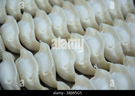 Primo piano di gnocchi crudi fatti a mano ordinatamente in file Foto Stock