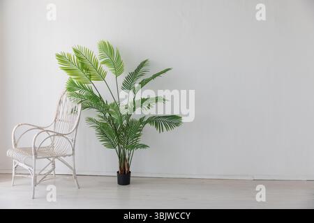 Poltrona vintage in vimini bianco all'interno di una stanza con una palma Foto Stock