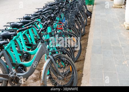 Gili, Lombok, Indonesia - 3 gennaio 2025: Fila di biciclette sono allineate sul marciapiede. Le biciclette sono tutte verdi e nere. Le biciclette sono parcheggiate di fila. Foto Stock