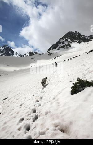 Escursionisti e cani in montagne innevate e cielo blu con nuvole Foto Stock
