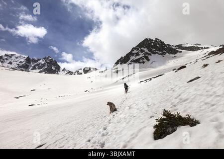 Cane e escursionista sulle montagne innevate Foto Stock