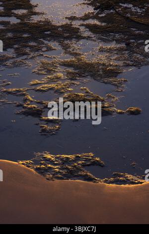 La luce dorata e soffusa danzano sulle acque tranquille mentre la costa incontra le dolci onde, creando un'atmosfera tranquilla. Foto Stock