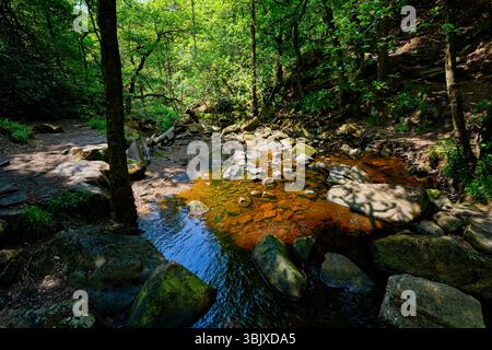 Il torrente Burbage scorre lentamente sopra le rocce gritstone nel bosco Padley Gorge del Derbyshire. Foto Stock